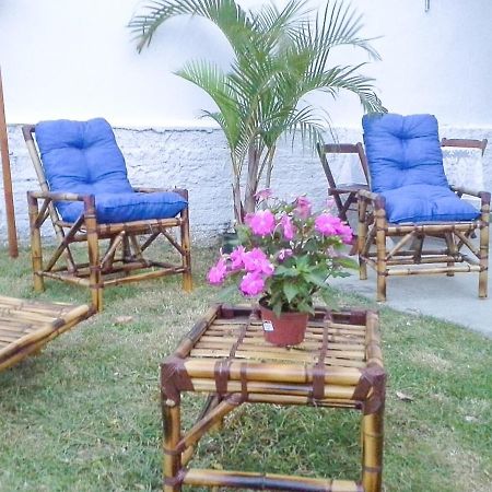 Colibri Hostel Florianópolis Dış mekan fotoğraf