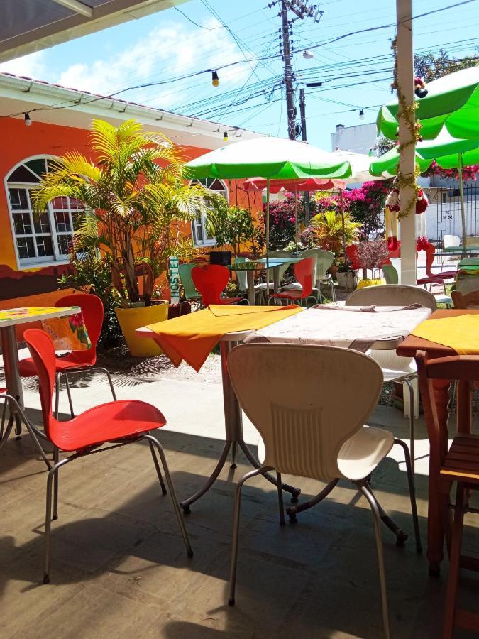 Colibri Hostel Florianópolis Dış mekan fotoğraf